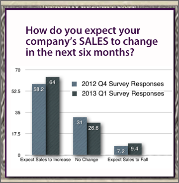 VA CEOs Economic Sales Outlook Q1 2013