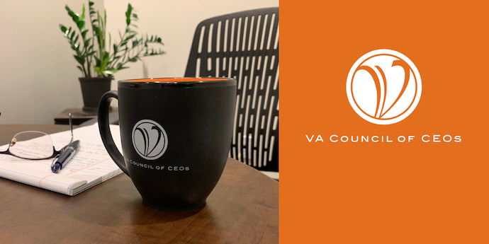 Get to Know VACEOs